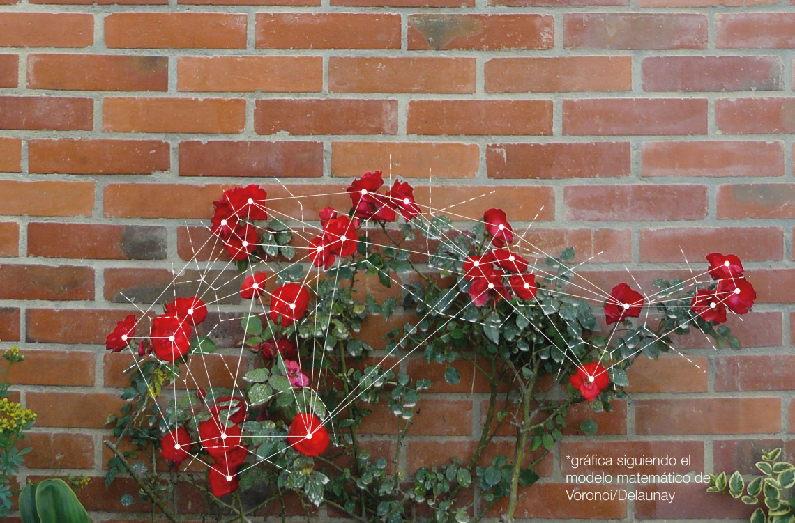 voronoijardin