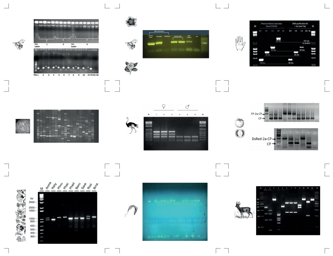 Captura de Pantalla 2020-03-01 a la(s) 10.14.13 p. m.